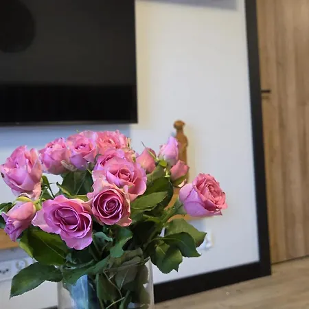 Apartment Zacisze *