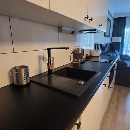 Zacisze Apartment